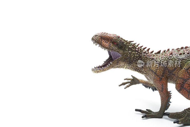 Carcharodontosaurus Carcharodontosaurus白色背景上的恐龙玩具